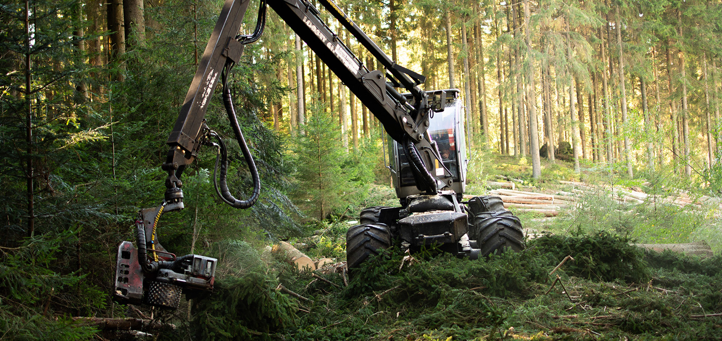 Harvesterunternehmen Markus Prock im Waldviertel Niederösterreich