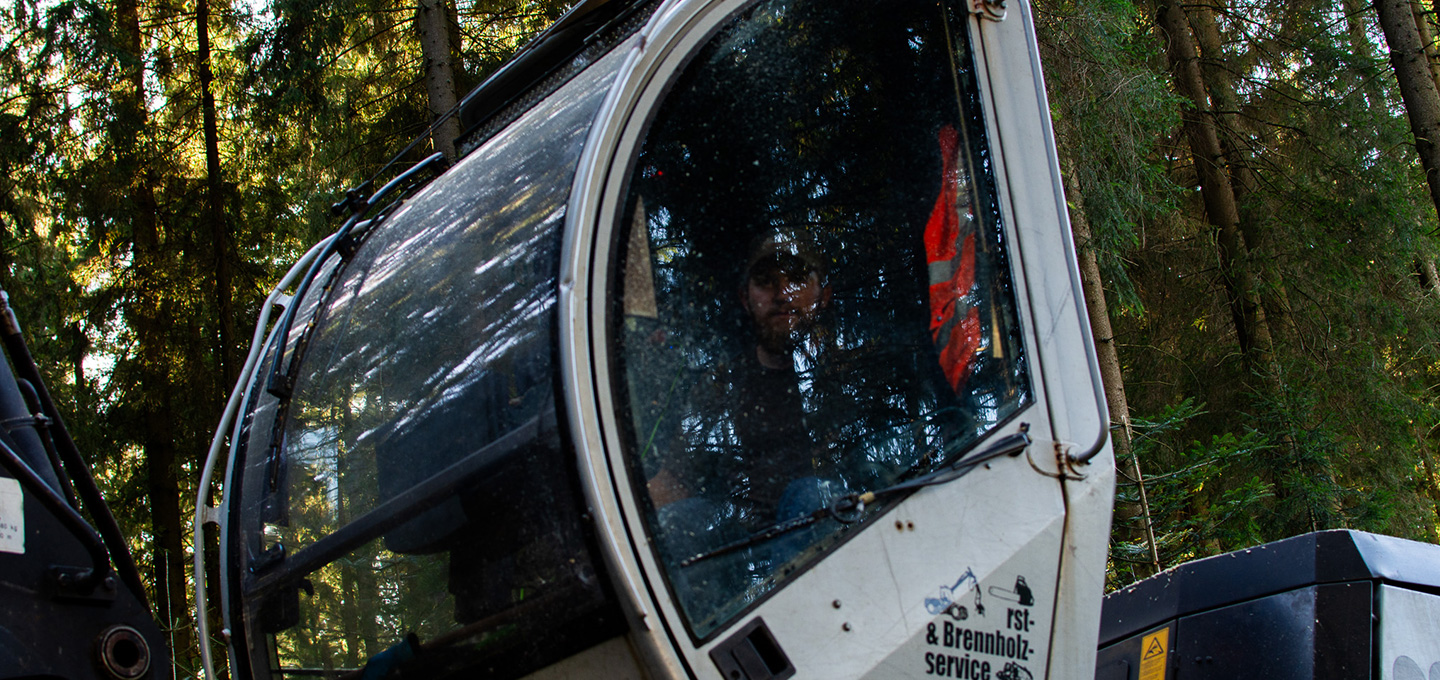 Harvester-Unternehmer Markus Prock beim Schlägern von Bäumen im Wald, Niederösterreich