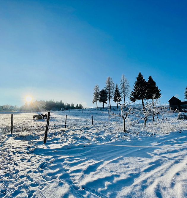 Winterlandschaft im Waldviertel, Urlaub im Waldviertel im schönen Winter machen